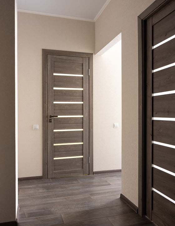 Modern interior doors