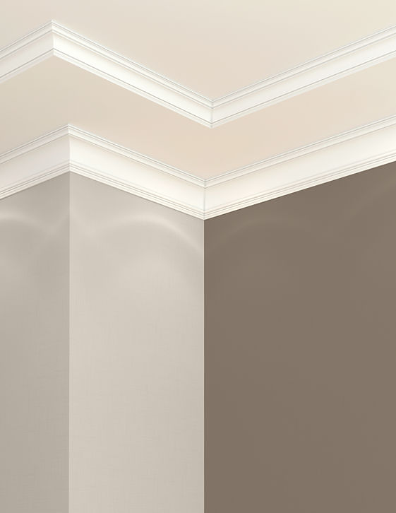 Elegant ceiling molding detail